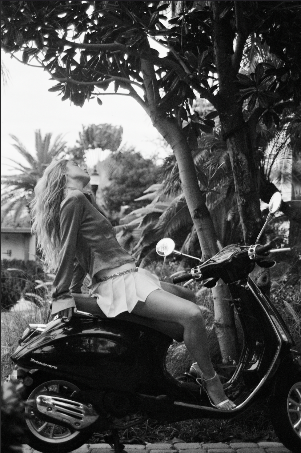 The Embroidered Pleated Skirt